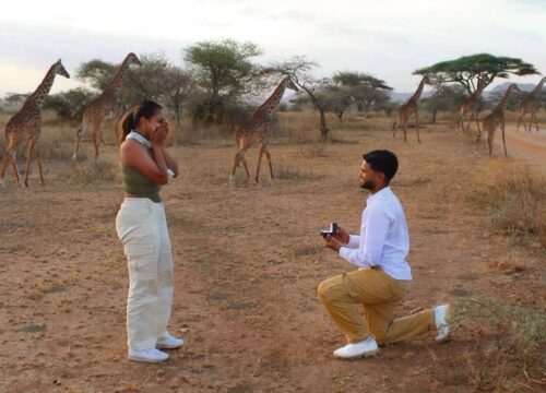 How to Plan and Book the Tanzania Safari