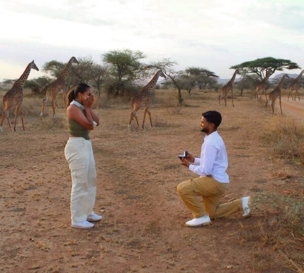 How to Plan and Book the Tanzania Safari