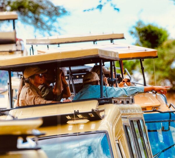 Imagine a group of clients eagerly searching for wildlife on a safari.