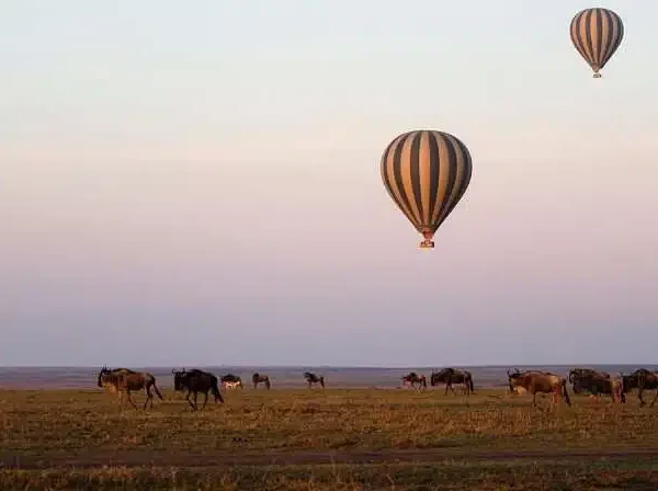 balloon safari