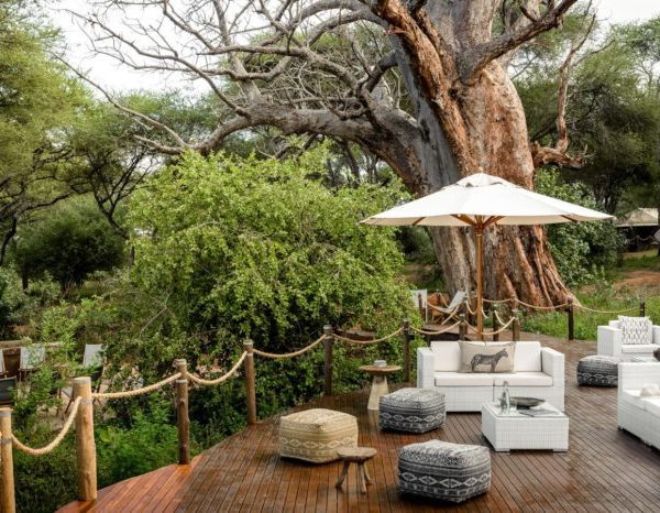 Tanzania-Luxury-Safari