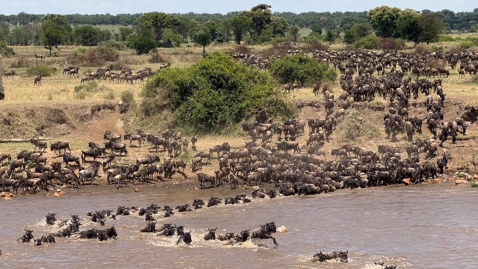 7-Day Serengeti Migration Safari