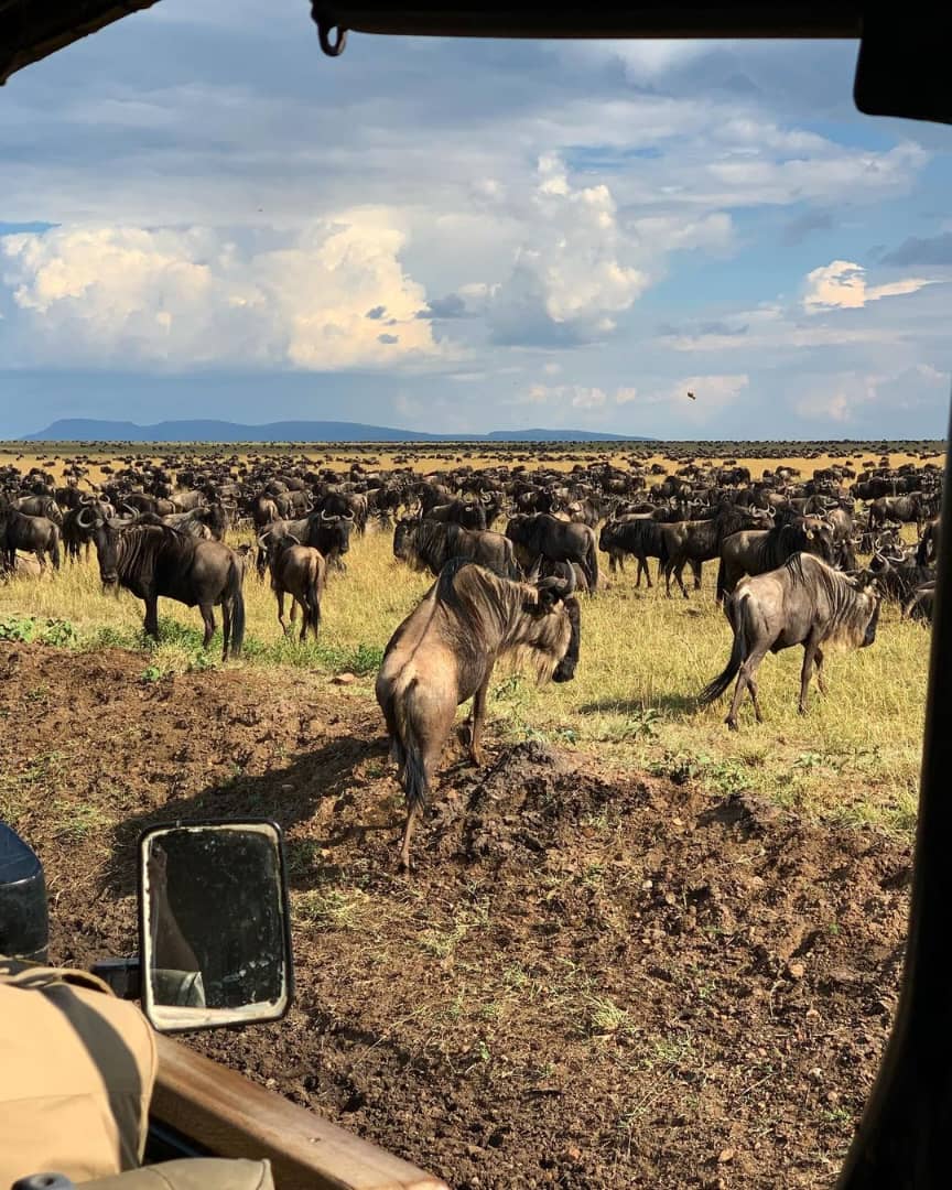 7-Day Serengeti Migration Safari