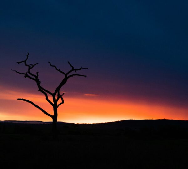 The beautiful sunset of the Serengeti in Tanzania Budget Camping Safari