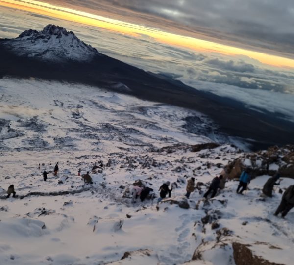 snow in Kilimanjaro