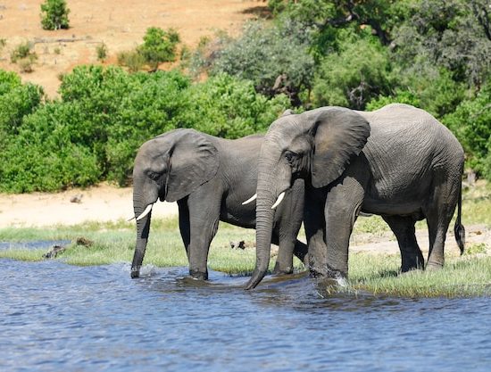 6 Days Northern Tanzania Wildlife Safari