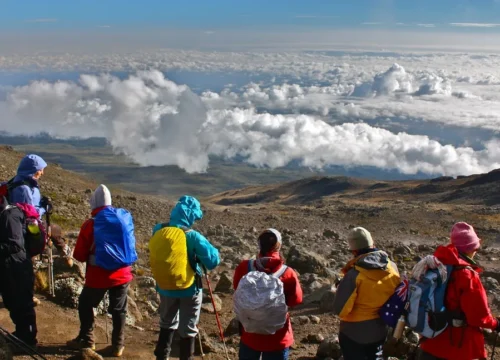 5 Days Kilimanjaro climb