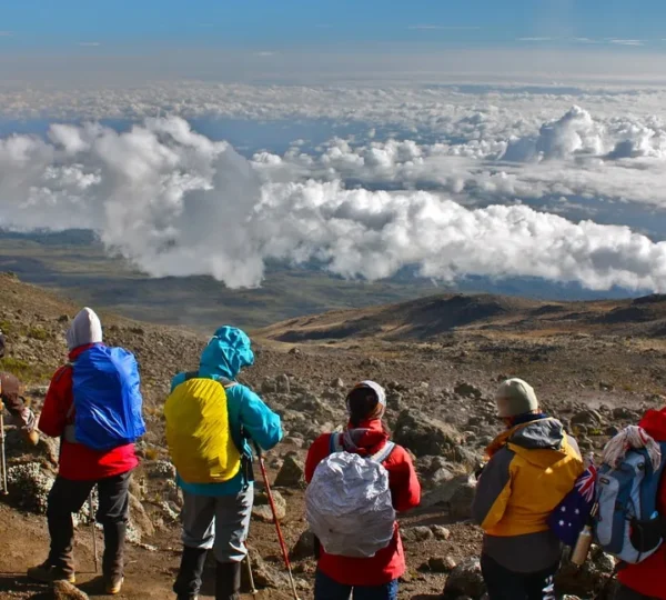 10-Day Kilimanjaro Northern Circuit