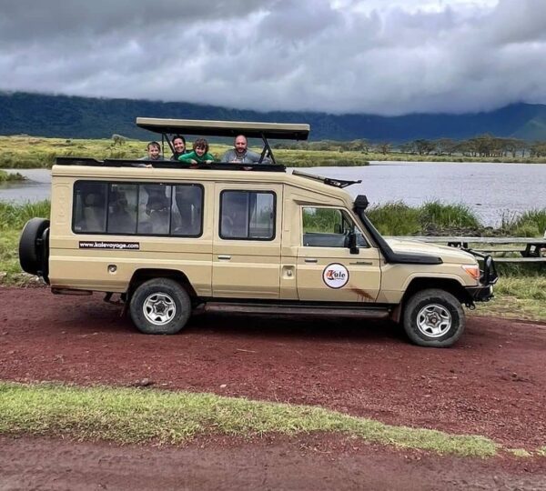 Kale voyage clients view the lake at Ngorongoro