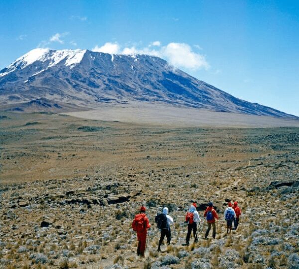 Kale Voyage clients reaching the summit of Mount Kilimanjaro, celebrating their achievement at the highest point in Africa.