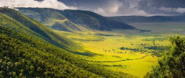 Ngorongoro crater