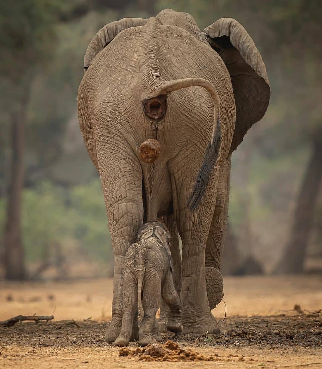 3-Day Mid-Range Safari