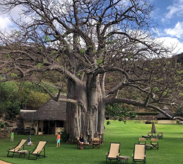 Tanzania camping Safari