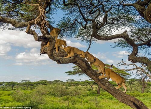 15 Best Places to Visit in Tanzania