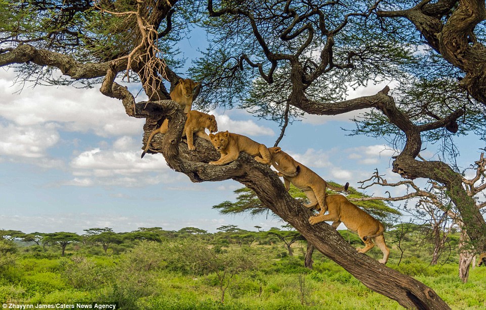 15 Best Places to Visit in Tanzania