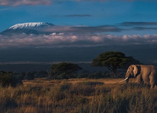 7Days Nairobi- Masai Mara (2N)- Serengeti (2N)- Ngorongoro (1N)- Amboseli (2N)- Nairobi