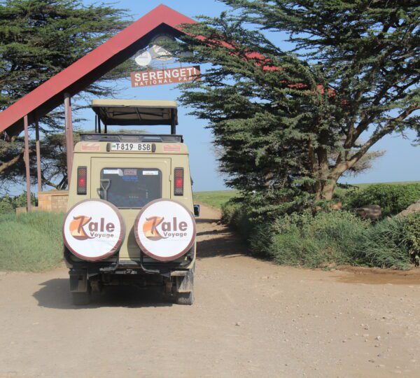 Kale Voyage jeep at the Serengeti gate.