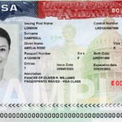 Visa application