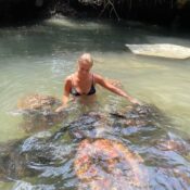 swimming with turtle in Zanzibar