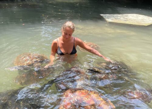 Swimming with turtles in Zanzibar