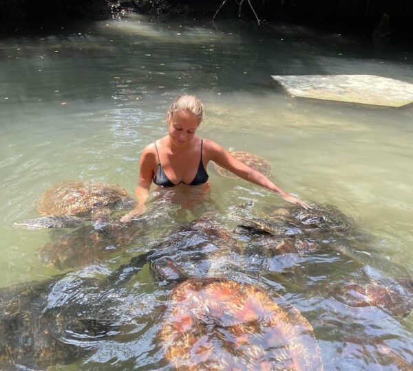 swimming with turtle in Zanzibar