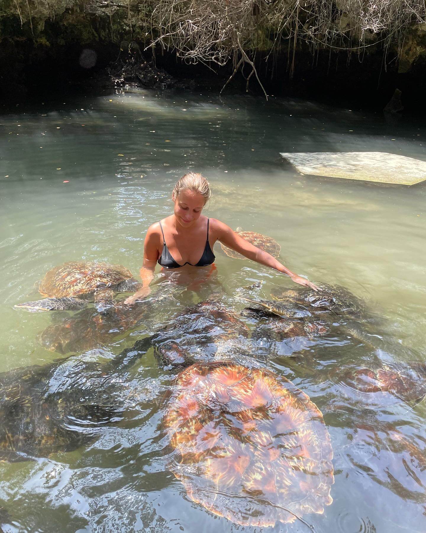 swimming with turtle in Zanzibar