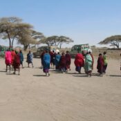 Maasai of Ngorongoro