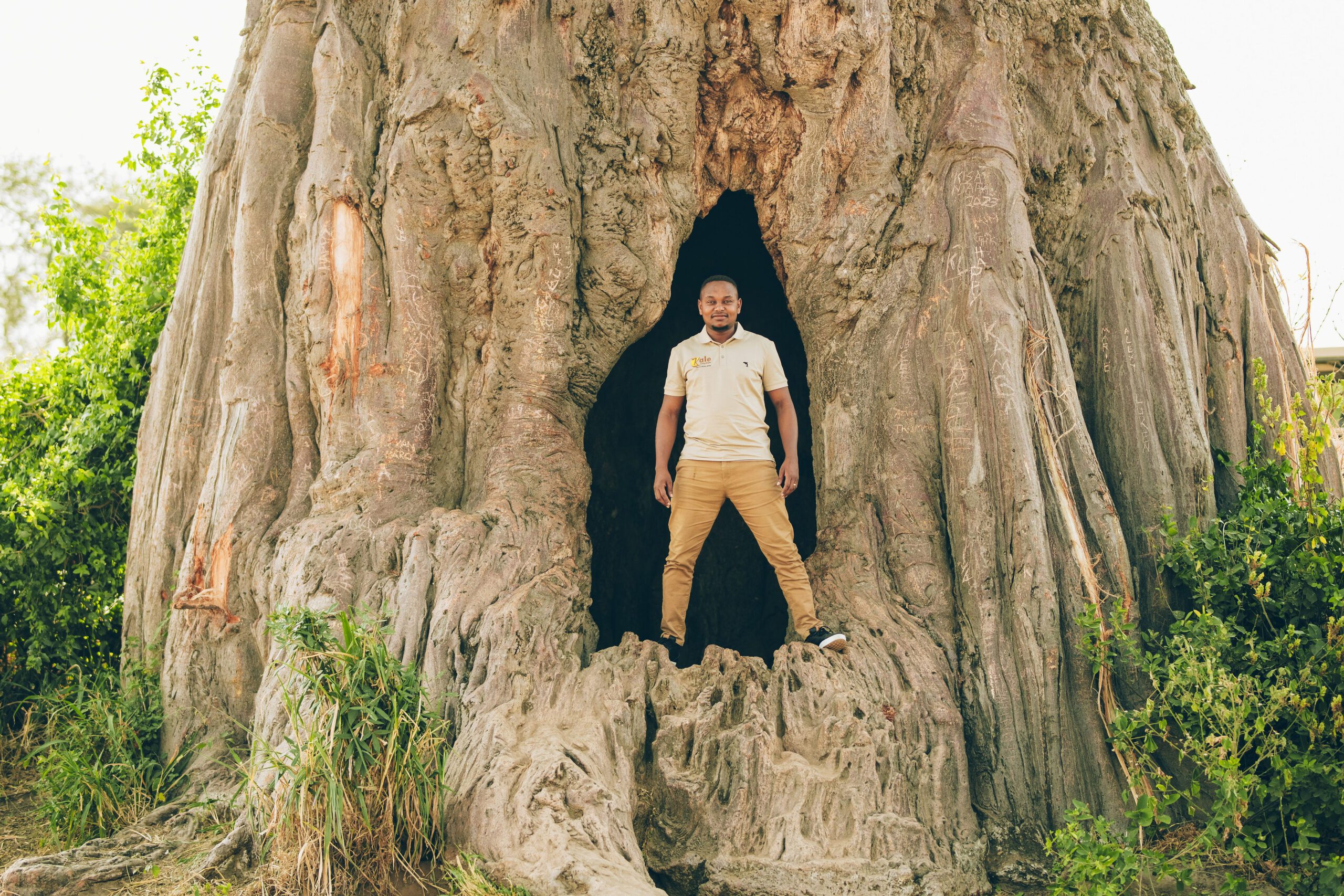 Solo safari in Tanzania