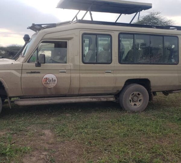 Our safari vehicle