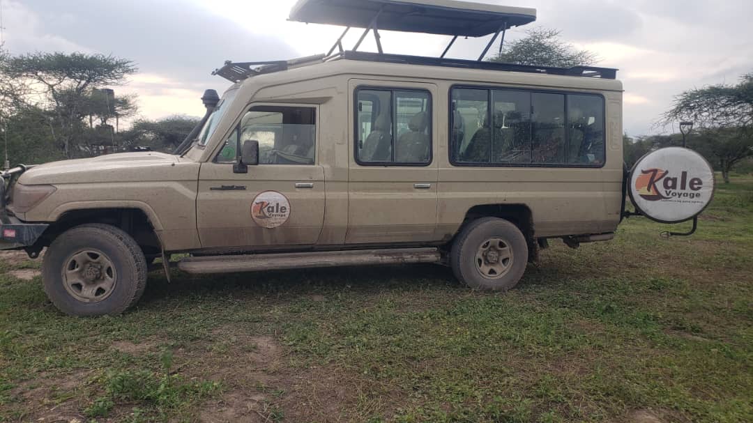 Our safari vehicle