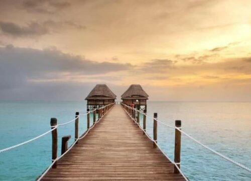 Safari & Zanzibar: The Perfect Tanzania Holiday Combo