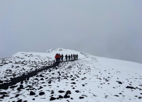 8-Day Kilimanjaro Climb-Lemosho Route