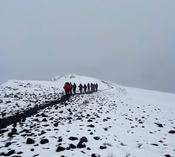 8-Day Kilimanjaro Climb – Lemosho Route
