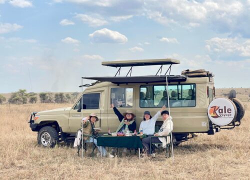 Why Choose Kale Voyage for Your Tanzania Safari