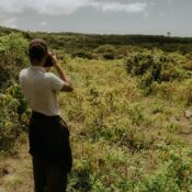 Walking Safaris vs Game Drives