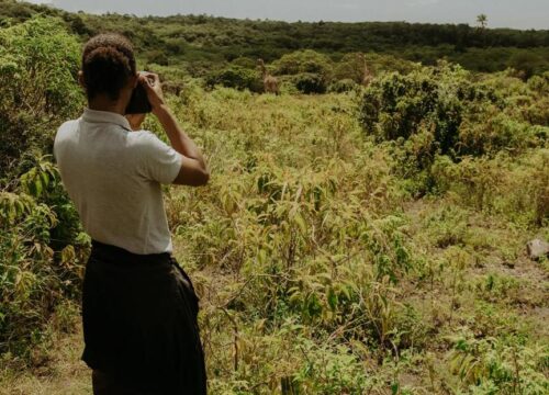 Walking Safaris vs Game Drives: What’s the Difference?