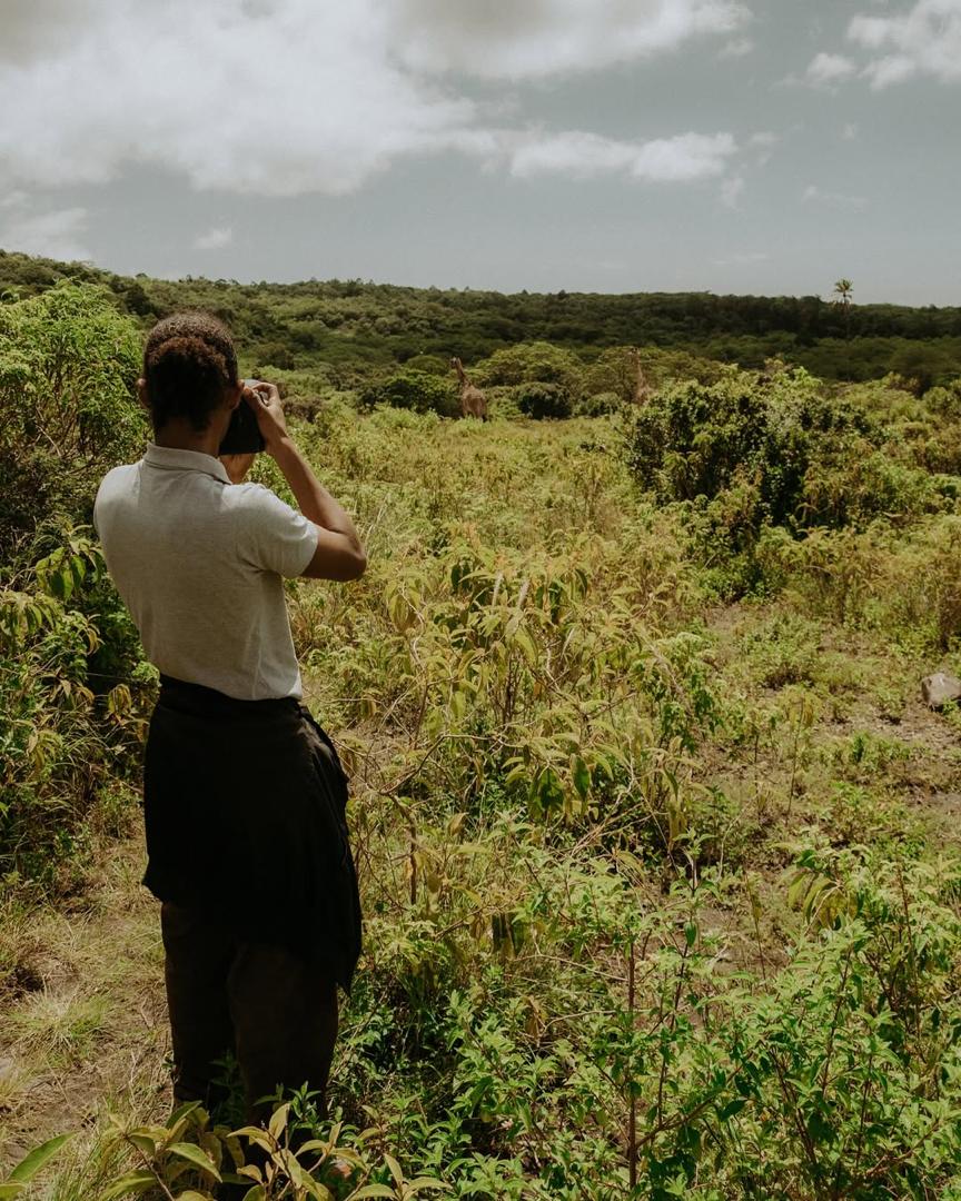 Walking Safaris vs Game Drives