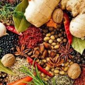 Spice Farm Zanzibar