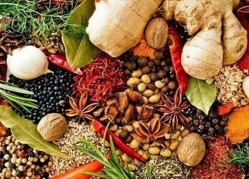 Spice Farm Zanzibar
