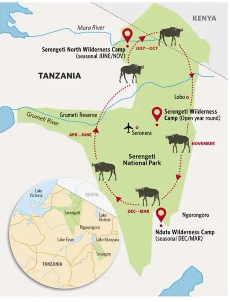 Great Migration Safari