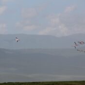 Ngorongoro Crater
