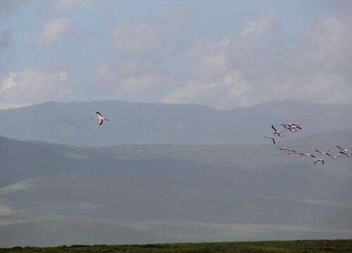 Ngorongoro Crater: The Eighth Wonder of the World