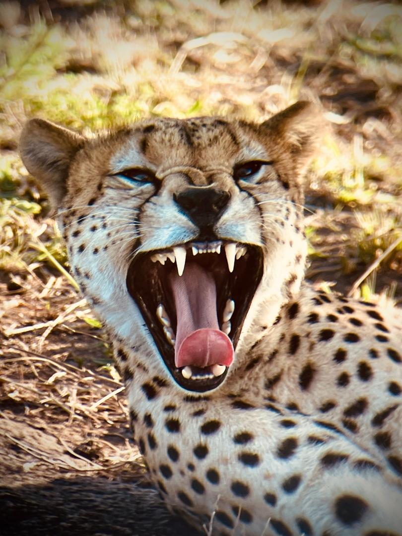 Where is Serengeti National Park?