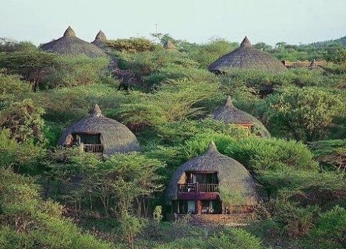 Serena Hotels in Tanzania: Luxury and Comfort Experiences
